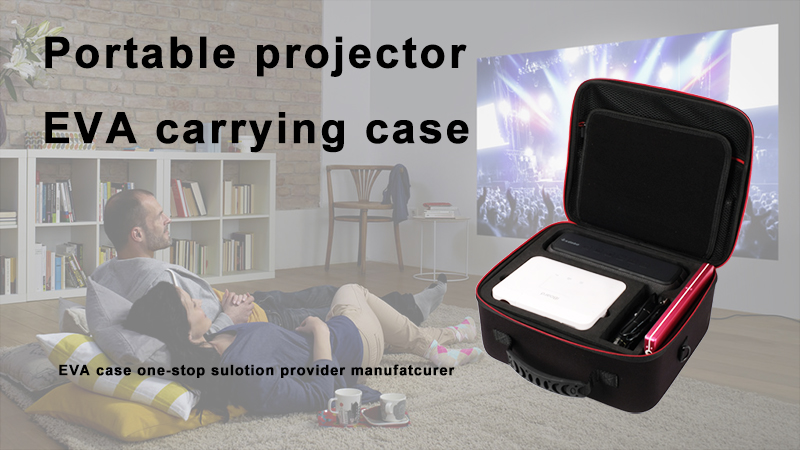 iBoard projector EVA travel case