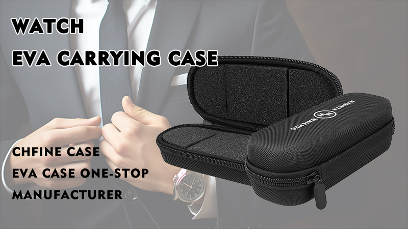 Watch travel case