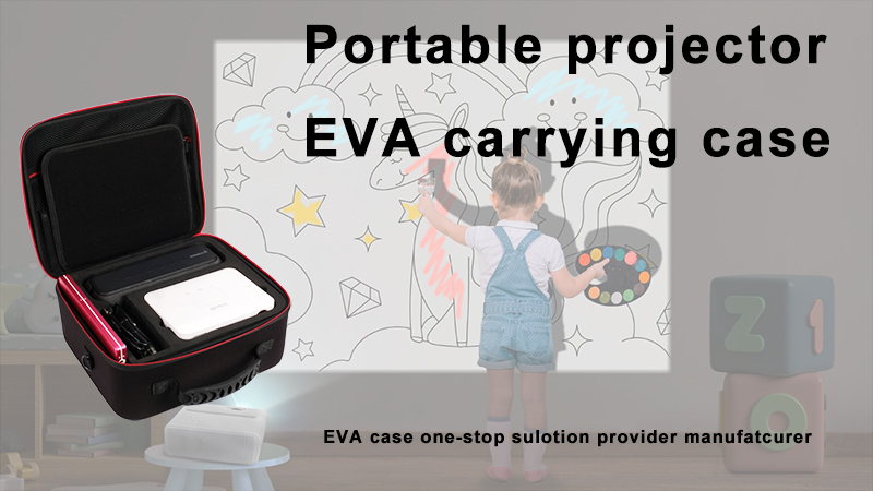 iBoard projector EVA travel case